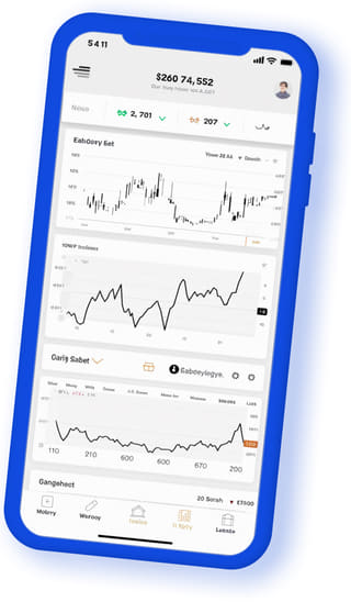 Mobiles Gerät mit der Denkwertenz Web-App